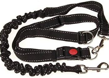 Quel type de harnais pour le canicross ?