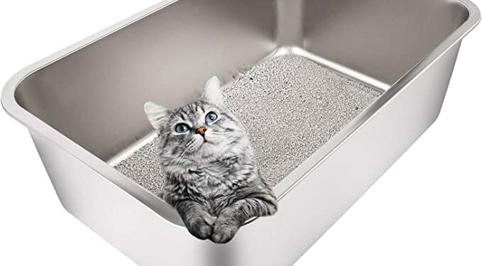 Quel type de litière pour Maine Coon ?