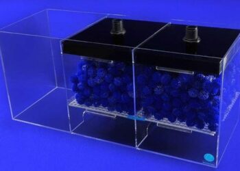 Quel type de sol pour discus ?