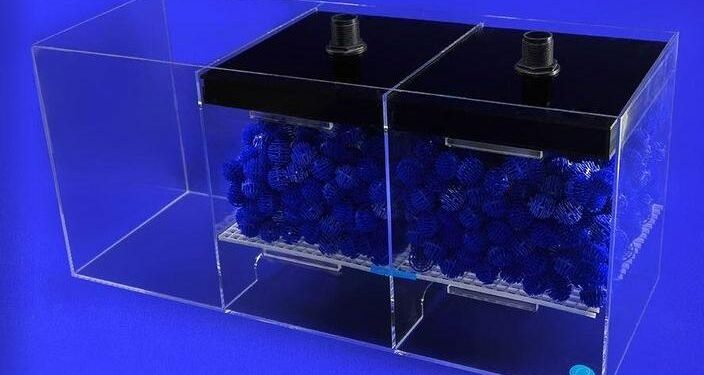 Quel type de sol pour discus ?