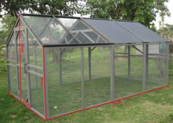 Quel type de sol pour un poulailler ?