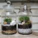 Quel type de terre pour un terrarium ?
