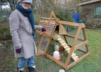 Quelle autorisation pour avoir des poules ?