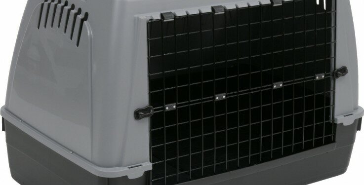 Quelle cage de transport pour un border collie ?