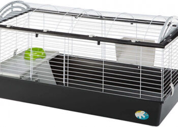 Quelle cage pour 2 cochon d'Inde ?