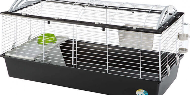 Quelle cage pour 2 cochon d'Inde ?