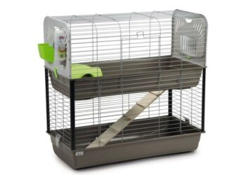 Quelle cage pour 3 cochon d'Inde ?