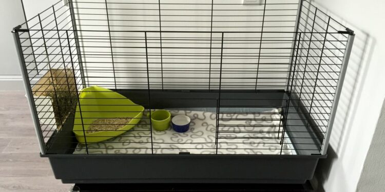 Quelle cage pour deux lapins nains ?