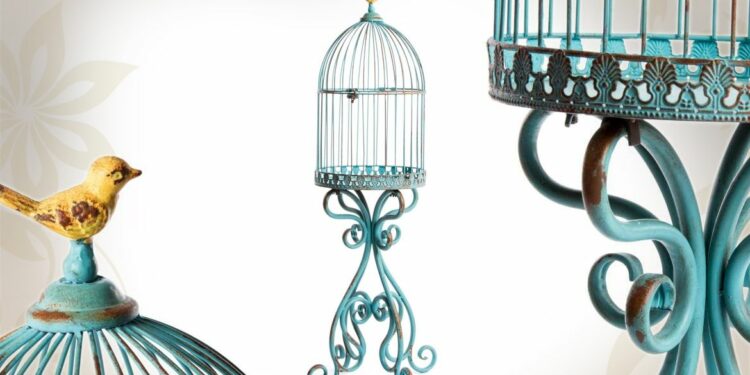 Quelle cage pour une pie ?