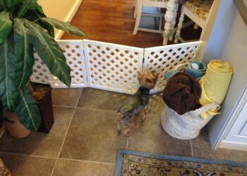 Quelle clôture pour gros chien ?