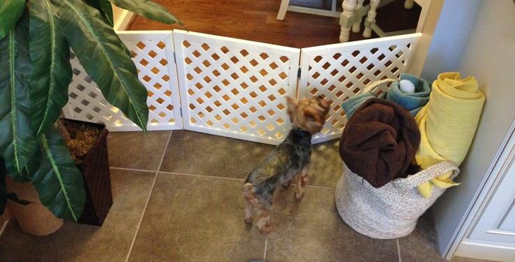 Quelle clôture pour gros chien ?