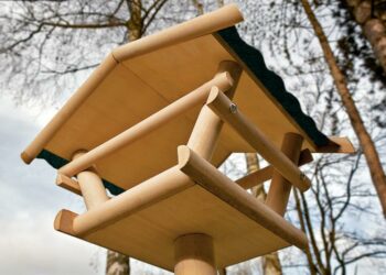 Quelle couleur attire les mésanges ?