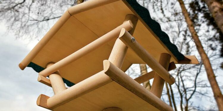 Quelle couleur attire les mésanges ?