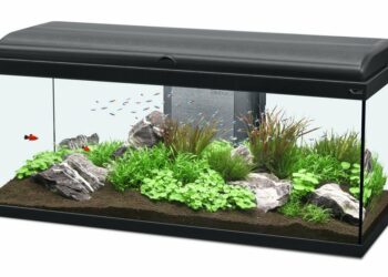 Quelle couleur de LED aquarium ?
