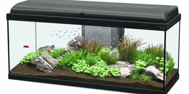 Quelle couleur de LED aquarium ?