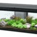 Quelle couleur de LED aquarium ?