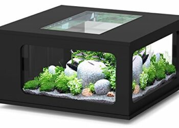 Quelle couleur de LED pour aquarium ?