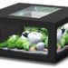 Quelle couleur de LED pour aquarium ?