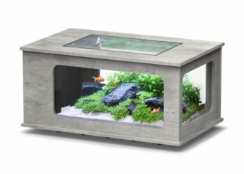 Quelle couleur pour un fond d'aquarium ?