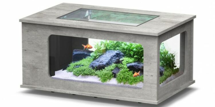 Quelle couleur pour un fond d'aquarium ?