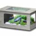 Quelle couleur pour un fond d'aquarium ?