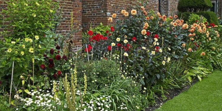 Quelle crevette avec un scalaire ?