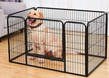 Quelle dimension de cage pour mon chien ?