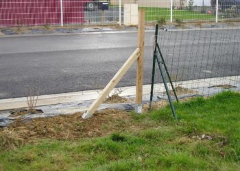 Quelle distance pour jambe de force ?