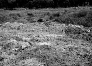 Quelle eau mettre dans une couveuse ?