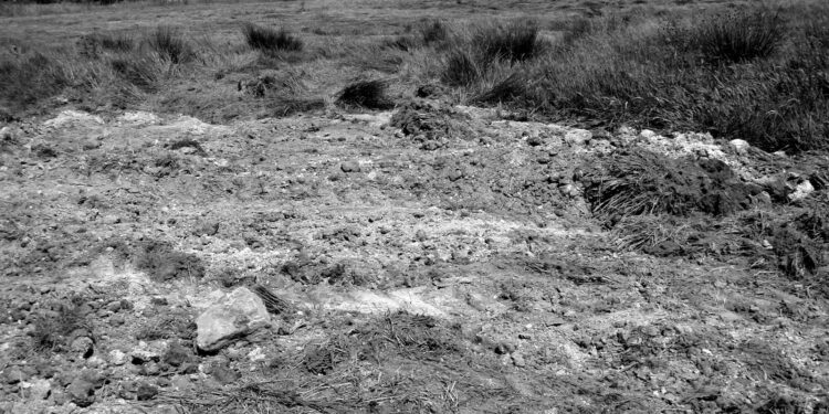 Quelle eau mettre dans une couveuse ?