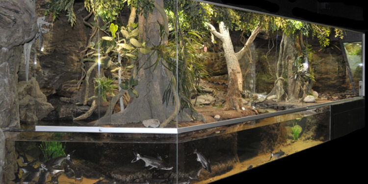 Quelle eau minérale pour arroser les plantes ?