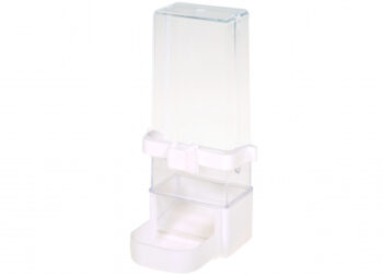 Quelle eau pour les oiseaux ?