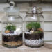Quelle eau pour terrarium ?