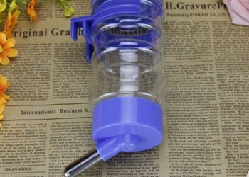 Quelle eau pour un hamster ?