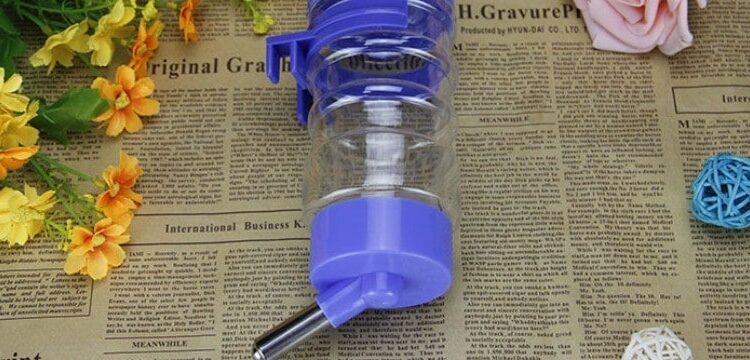 Quelle eau pour un hamster ?