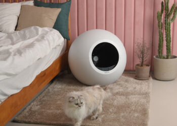 Quelle est la bonne litière ?