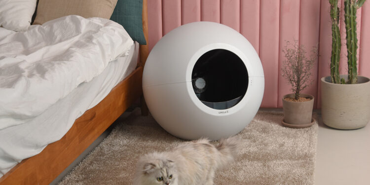 Quelle est la bonne litière ?