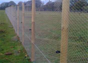 Quelle est la bonne puissance pour une clôture electrique ?