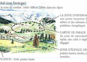 Quelle est la définition de biotope ?
