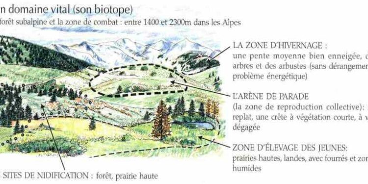 Quelle est la définition de biotope ?