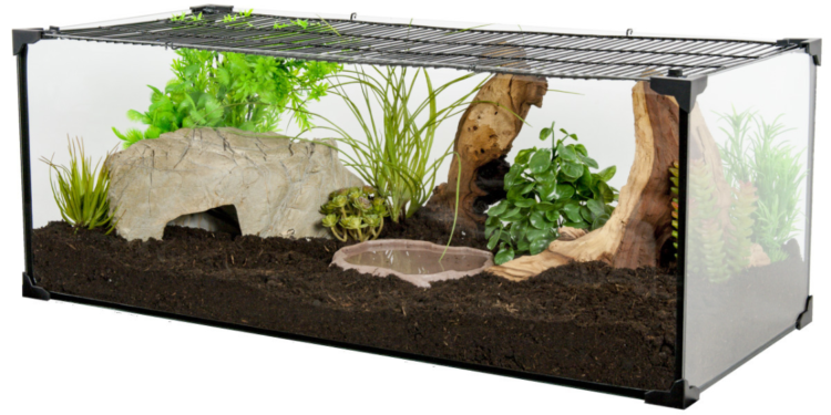 Quelle est la différence entre un vivarium et un terrarium ?