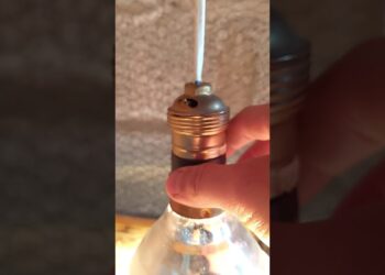 Quelle est la durée de chauffage des poussins ?