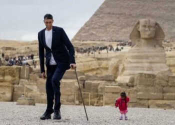 Quelle est la durée de vie d'un nain ?