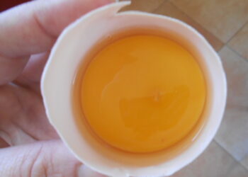 Quelle est la durée de vie d'une poule Pékin ?