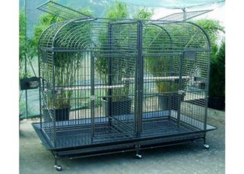 Quelle est la grandeur de la cage pour un perruche ?