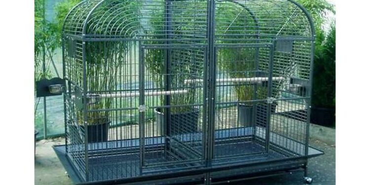 Quelle est la grandeur de la cage pour un perruche ?