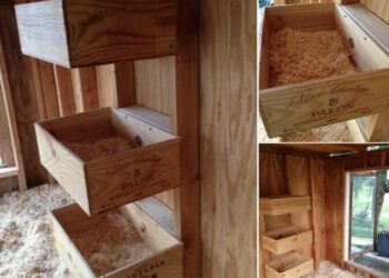 Quelle est la hauteur pour un pondoir à poule ?