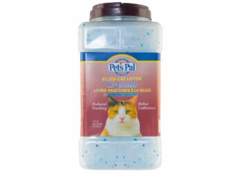 Quelle est la litière la plus absorbante ?