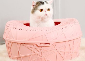 Quelle est la litière la plus absorbante ?