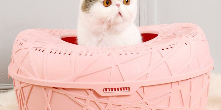 Quelle est la litière la plus absorbante ?